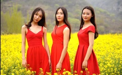 红番茄视频成年